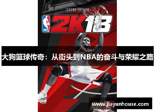 大狗篮球传奇：从街头到NBA的奋斗与荣耀之路